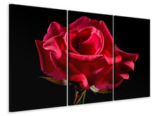 Laden Sie das Bild in den Galerie-Viewer, Leinwandbild 3-teilig Die Blume der Liebe