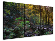 Laden Sie das Bild in den Galerie-Viewer, Leinwandbild 3-teilig Die Wald Brücke