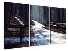 Laden Sie das Bild in den Galerie-Viewer, Leinwandbild 3-teilig Ein Weg im Schnee