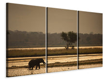 Laden Sie das Bild in den Galerie-Viewer, Leinwandbild 3-teilig Elefant alleine in der Steppe
