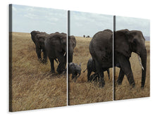 Laden Sie das Bild in den Galerie-Viewer, Leinwandbild 3-teilig Elefanten Familie