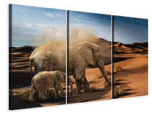 Laden Sie das Bild in den Galerie-Viewer, Leinwandbild 3-teilig Elefanten in der Wüste