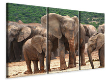 Laden Sie das Bild in den Galerie-Viewer, Leinwandbild 3-teilig Elefantenherde in Afrika