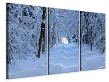 Laden Sie das Bild in den Galerie-Viewer, Leinwandbild 3-teilig Endlich Winter