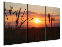 Laden Sie das Bild in den Galerie-Viewer, Leinwandbild 3-teilig Entzückender Sonnenuntergang