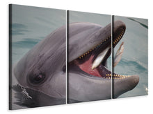 Laden Sie das Bild in den Galerie-Viewer, Leinwandbild 3-teilig Essenszeit für einen Delphin