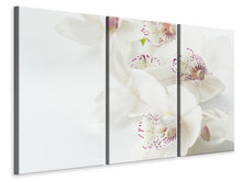 Laden Sie das Bild in den Galerie-Viewer, Leinwandbild 3-teilig Fantastische Orchideen