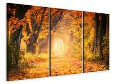Laden Sie das Bild in den Galerie-Viewer, Leinwandbild 3-teilig Farben prächtiger Wald
