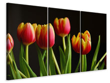 Laden Sie das Bild in den Galerie-Viewer, Leinwandbild 3-teilig Farbenfrohe Tulpen