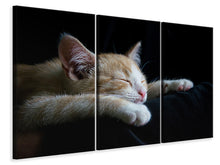 Laden Sie das Bild in den Galerie-Viewer, Leinwandbild 3-teilig Faule Katze