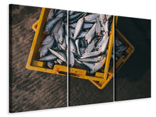 Laden Sie das Bild in den Galerie-Viewer, Leinwandbild 3-teilig Fisch in Kisten