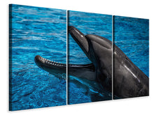 Laden Sie das Bild in den Galerie-Viewer, Leinwandbild 3-teilig Freundlicher Delphin