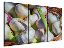 Laden Sie das Bild in den Galerie-Viewer, Leinwandbild 3-teilig Frischer Knoblauch