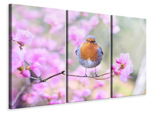 Laden Sie das Bild in den Galerie-Viewer, Leinwandbild 3-teilig Frühlings Vogel