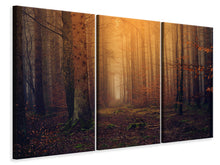 Laden Sie das Bild in den Galerie-Viewer, Leinwandbild 3-teilig Geheimnisvoller Wald