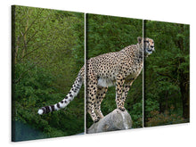 Laden Sie das Bild in den Galerie-Viewer, Leinwandbild 3-teilig Gepard auf dem Sprung