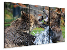 Laden Sie das Bild in den Galerie-Viewer, Leinwandbild 3-teilig Grizzly Kampf