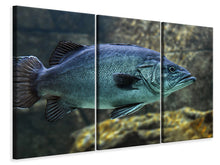 Laden Sie das Bild in den Galerie-Viewer, Leinwandbild 3-teilig Grosser Fisch