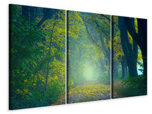 Laden Sie das Bild in den Galerie-Viewer, Leinwandbild 3-teilig Grüner Wald