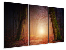 Laden Sie das Bild in den Galerie-Viewer, Leinwandbild 3-teilig Herbst im Wald