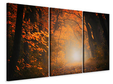 Laden Sie das Bild in den Galerie-Viewer, Leinwandbild 3-teilig Herbstlicht im Wald