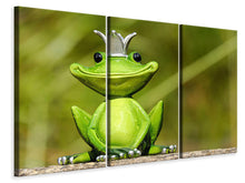 Laden Sie das Bild in den Galerie-Viewer, Leinwandbild 3-teilig Herr Frosch König