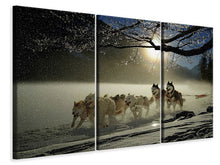 Laden Sie das Bild in den Galerie-Viewer, Leinwandbild 3-teilig Huskys