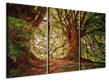 Laden Sie das Bild in den Galerie-Viewer, Leinwandbild 3-teilig Im dichten Wald