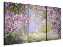 Laden Sie das Bild in den Galerie-Viewer, Leinwandbild 3-teilig Im schönen Frühling