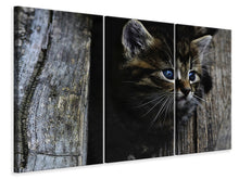 Laden Sie das Bild in den Galerie-Viewer, Leinwandbild 3-teilig Katzen Kind
