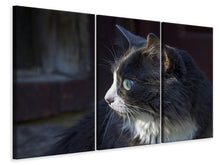 Laden Sie das Bild in den Galerie-Viewer, Leinwandbild 3-teilig Katzenkopf XL