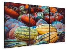 Laden Sie das Bild in den Galerie-Viewer, Leinwandbild 3-teilig Kürbis Arten
