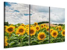 Laden Sie das Bild in den Galerie-Viewer, Leinwandbild 3-teilig Landschaft mit Sonnenblumen