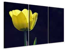 Laden Sie das Bild in den Galerie-Viewer, Leinwandbild 3-teilig Leuchtende Tulpe