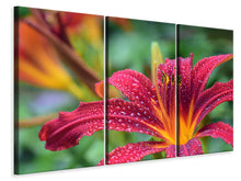 Laden Sie das Bild in den Galerie-Viewer, Leinwandbild 3-teilig Lilien Blüte in pink XL