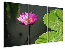 Laden Sie das Bild in den Galerie-Viewer, Leinwandbild 3-teilig Lotus Blüte in pink