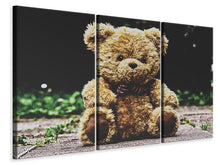 Laden Sie das Bild in den Galerie-Viewer, Leinwandbild 3-teilig Love Teddy