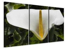 Laden Sie das Bild in den Galerie-Viewer, Leinwandbild 3-teilig Makro Calla in weiss