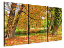 Laden Sie das Bild in den Galerie-Viewer, Leinwandbild 3-teilig Mitten unter Herbstbäumen