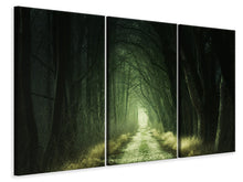 Laden Sie das Bild in den Galerie-Viewer, Leinwandbild 3-teilig Mysteriöser Wald