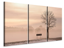 Laden Sie das Bild in den Galerie-Viewer, Leinwandbild 3-teilig Mystische Stimmung in der Natur