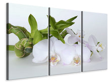 Laden Sie das Bild in den Galerie-Viewer, Leinwandbild 3-teilig Orchidee und Bambus