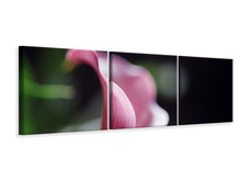 Laden Sie das Bild in den Galerie-Viewer, Panorama Leinwandbild 3-teilig Calla in lila