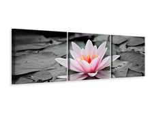 Laden Sie das Bild in den Galerie-Viewer, Panorama Leinwandbild 3-teilig Die Kunst der Seerose