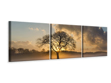 Laden Sie das Bild in den Galerie-Viewer, Panorama Leinwandbild 3-teilig Ein einsamer Baum