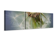 Laden Sie das Bild in den Galerie-Viewer, Panorama Leinwandbild 3-teilig Löwenzahn Close up