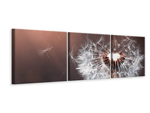 Laden Sie das Bild in den Galerie-Viewer, Panorama Leinwandbild 3-teilig Pusteblume im Abendlicht
