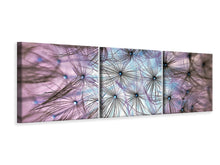 Laden Sie das Bild in den Galerie-Viewer, Panorama Leinwandbild 3-teilig Pusteblume im Lichterspiel