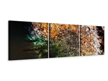 Laden Sie das Bild in den Galerie-Viewer, Panorama Leinwandbild 3-teilig Pusteblume im Morgentau