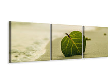 Laden Sie das Bild in den Galerie-Viewer, Panorama Leinwandbild 3-teilig Strand-Blatt